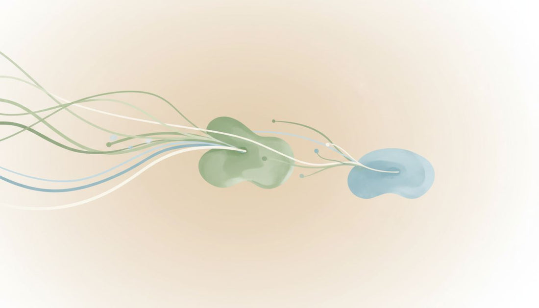 59 fizjoterapeuta online
