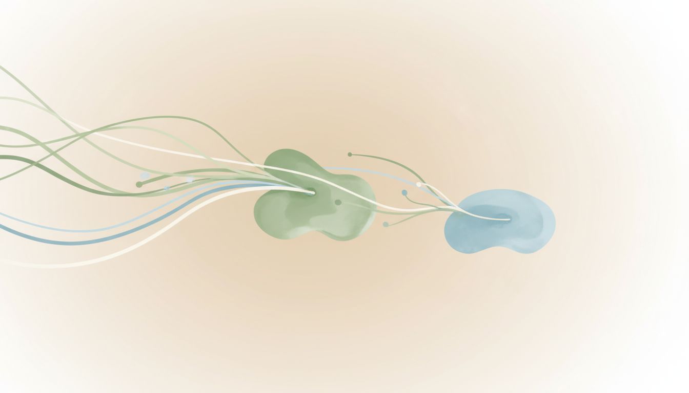59 fizjoterapeuta online